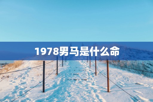 1978男马是什么命