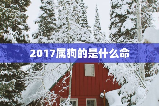 2017属狗的是什么命