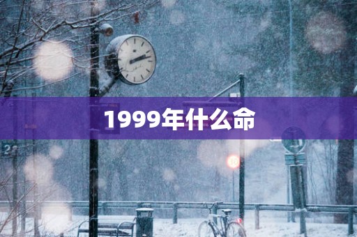 1999年什么命
