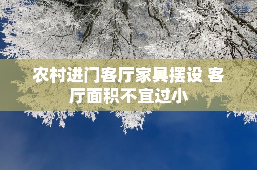 农村进门客厅家具摆设 客厅面积不宜过小