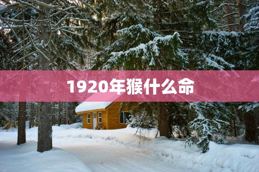 1920年猴什么命