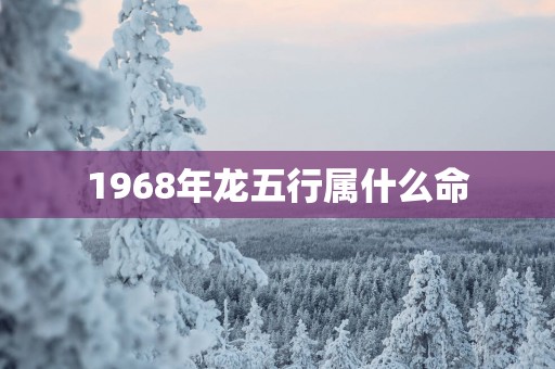 1968年龙五行属什么命
