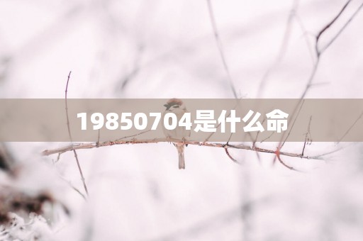 19850704是什么命
