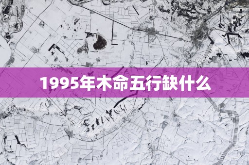 1995年木命五行缺什么
