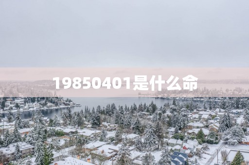 19850401是什么命