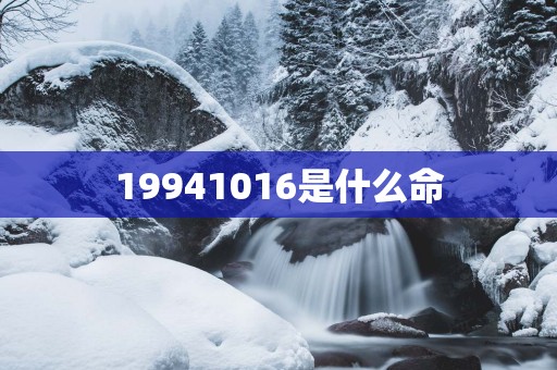 19941016是什么命