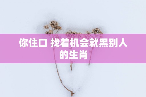 你住口 找着机会就黑别人的生肖