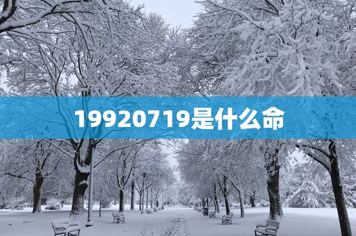 19920719是什么命