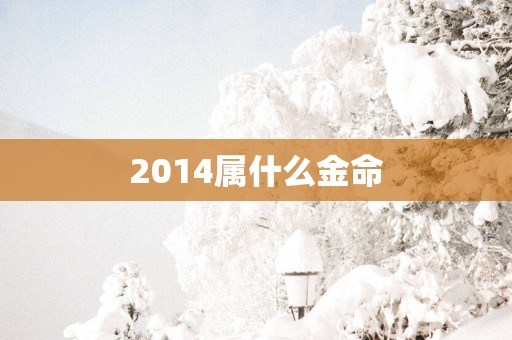 2014属什么金命