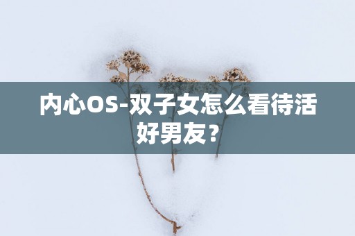 内心OS-双子女怎么看待活好男友？