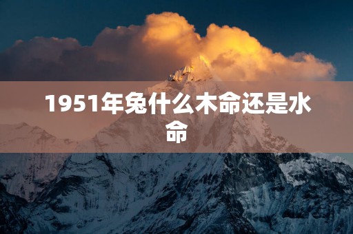 1951年兔什么木命还是水命
