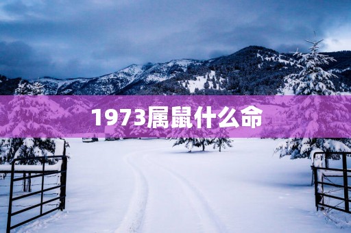 1973属鼠什么命
