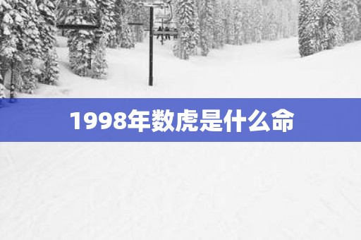 1998年数虎是什么命
