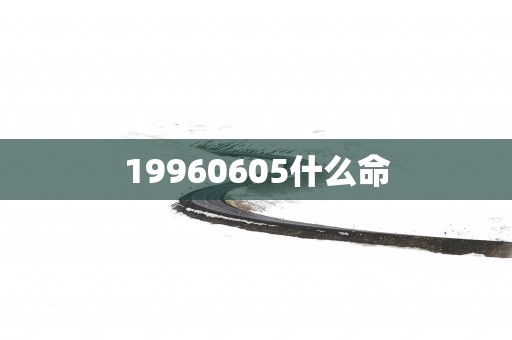 19960605什么命