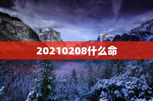 20250208什么命