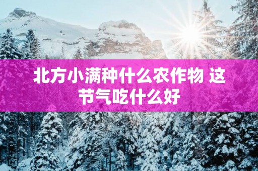 北方小满种什么农作物 这节气吃什么好