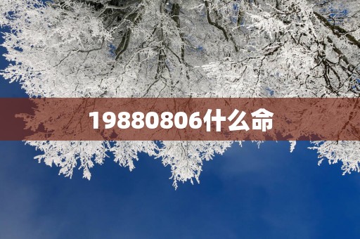19880806什么命