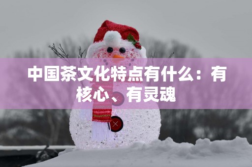 中国茶文化特点有什么：有核心、有灵魂