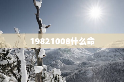 19821008什么命