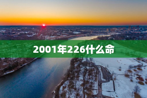 2001年226什么命
