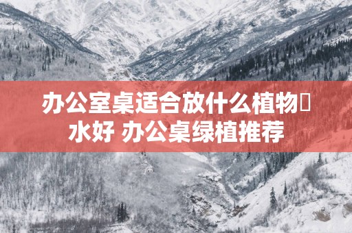 办公室桌适合放什么植物風水好 办公桌绿植推荐