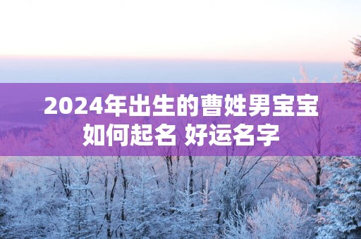 2025年出生的曹姓男宝宝如何起名 好运名字