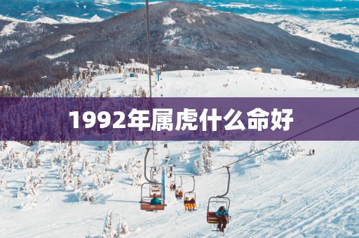 1992年属虎什么命好