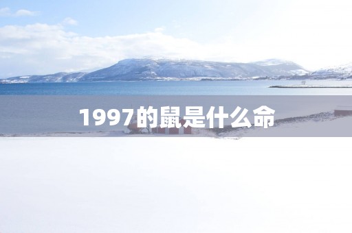 1997的鼠是什么命