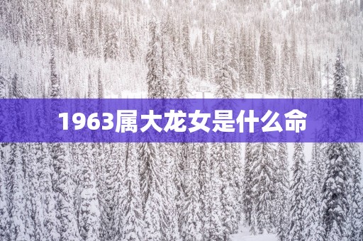 1963属大龙女是什么命