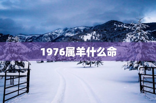 1976属羊什么命