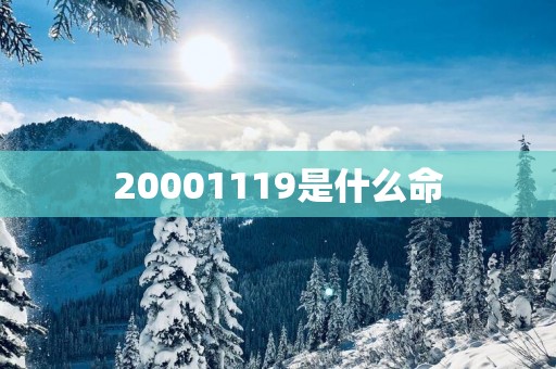 20001119是什么命