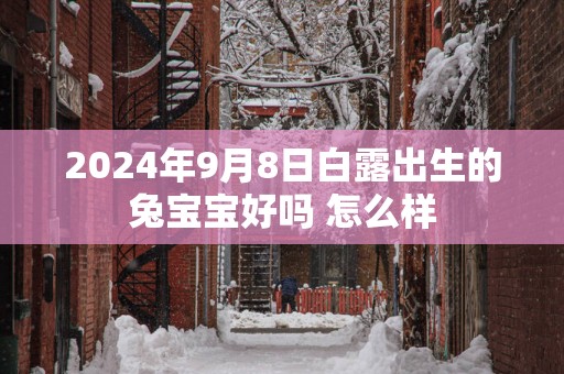 2025年9月8日白露出生的兔宝宝好吗 怎么样