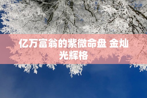 亿万富翁的紫微命盘 金灿光辉格
