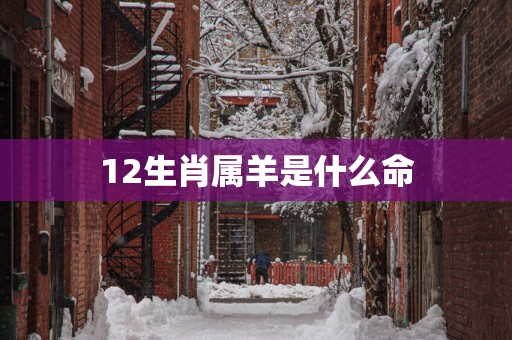 12生肖属羊是什么命