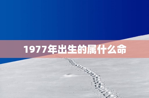 1977年出生的属什么命