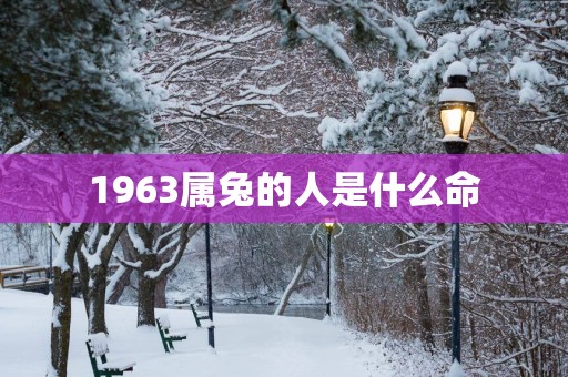 1963属兔的人是什么命