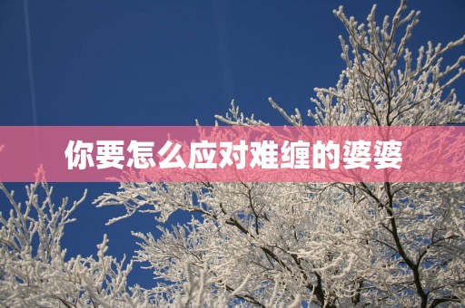 你要怎么应对难缠的婆婆