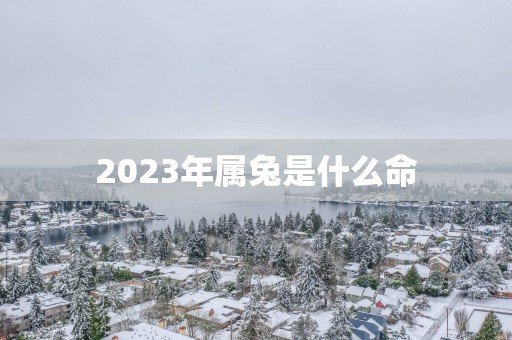 2025年属兔是什么命