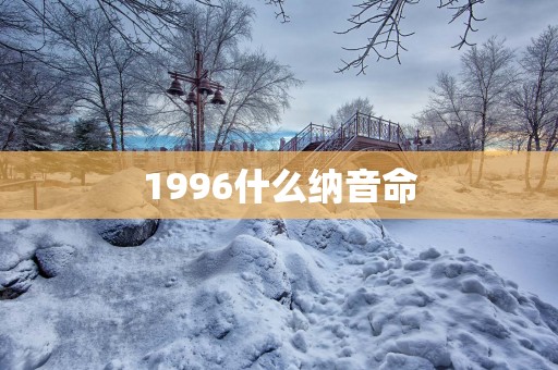 1996什么纳音命