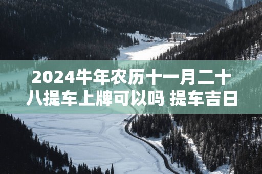 2025蛇年农历十一月二十八提车上牌可以吗 提车吉日查询