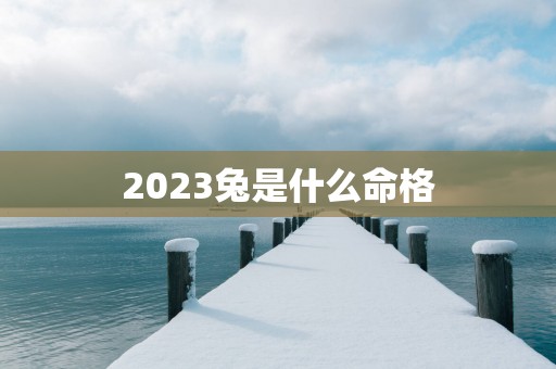2025兔是什么命格