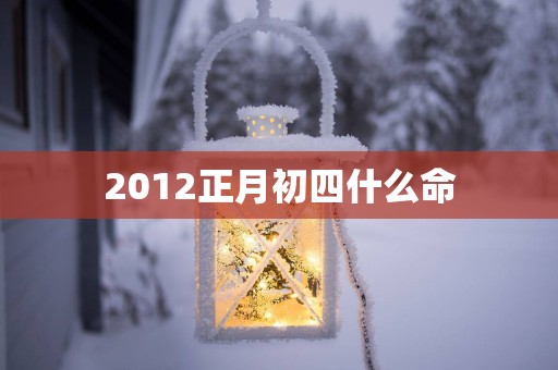 2012正月初四什么命