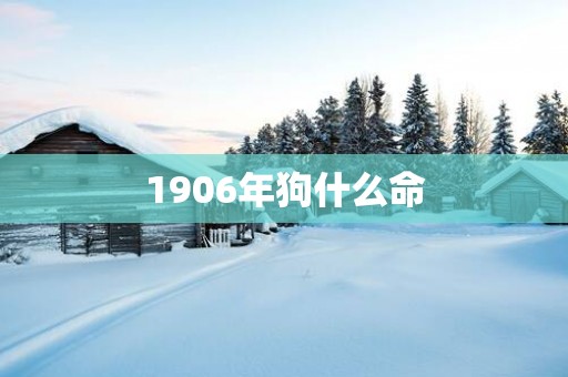 1906年狗什么命