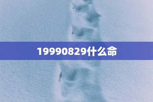 19990829什么命