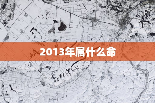 2013年属什么命