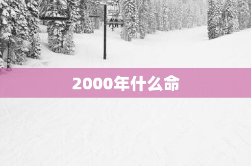 2000年什么命
