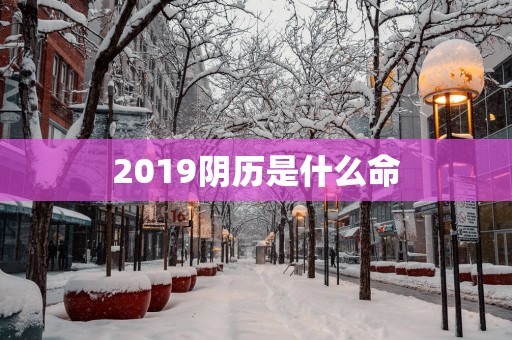2019阴历是什么命
