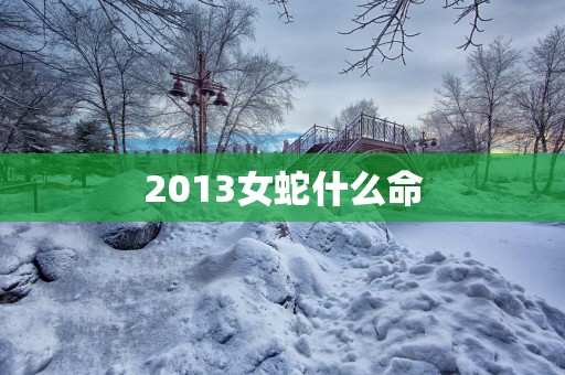 2013女蛇什么命