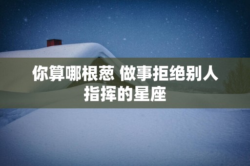 你算哪根葱 做事拒绝别人指挥的星座