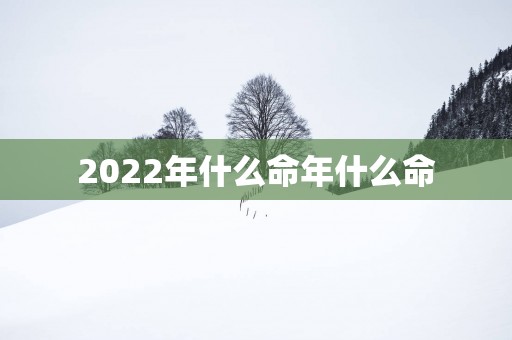 2025年什么命年什么命